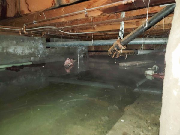 Cost of Water Mitigation Service in Evergreen